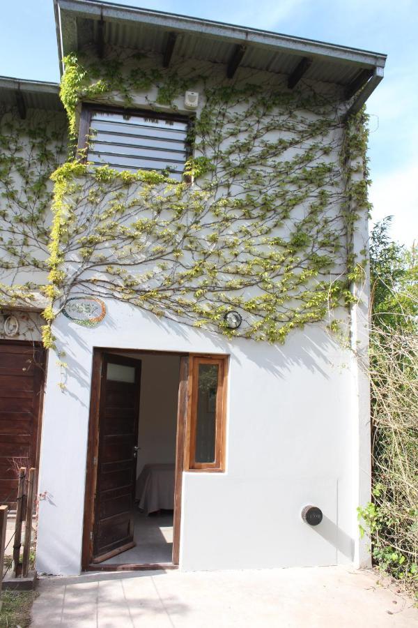 Casita Moderna Frente Al Bosque Apartment มาร์เดลปลาตา ภายนอก รูปภาพ